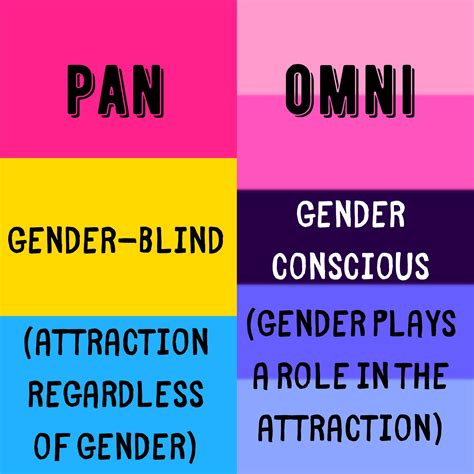 what is omnisexual|Omnisexual Definition & Meaning